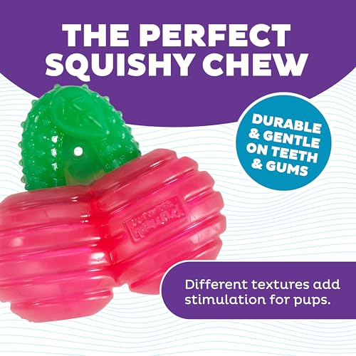 Outward Hound Gummiez Cherries Dog Toy & Treat Stuffer, 4″ x 4″ Cherry-Scent Interactive Chew for Dogs, Promote Healthy Teeth, Gums & Mental Enrichment, Reduce Boredom & Support Dental Health - color: Cherries