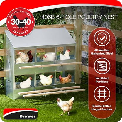 Brower 2-Tier 6-Hole Galvanized Steel Chicken Nesting Box, 30 to 40 Hen Capacity – Outdoor Poultry Laying Station with Hinged Folding Perches, Ventilated Design & Slanted Roof – Made in the USA - size: 37.0"L x 33.0"W x 24.5"H