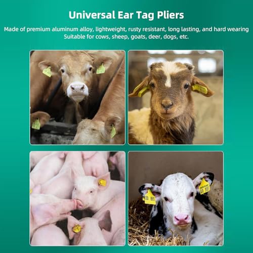 Livestock Ear Tag Applicator, Cattle Ear Tagger Cow Ear Tag Pliers, Universal Animal Ear Tag Tool Ear Tag Clamp for Cattle Cow Pig Goat Sheep Lamb