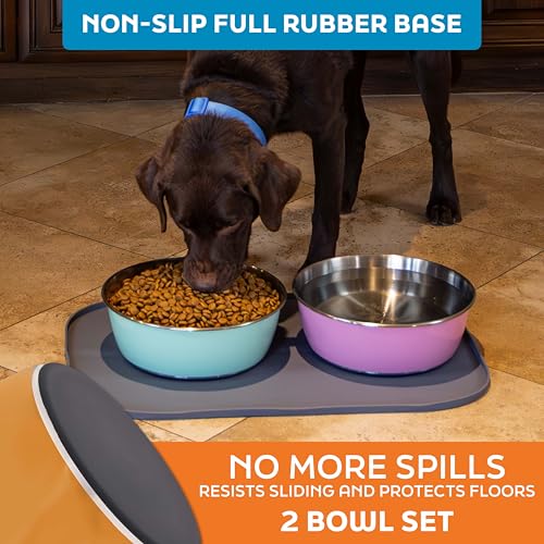 Master Pet Supply Stainless Steel Dog Bowls Set of 2 (128 Oz Each) with Non-Slip Rubber Base - Mango Tango - Basic Dog Food Bowl Water & Food Bowls for Small Medium Large Dogs & Cats, Metal Dish - color: Mango Tango, size: 16 Cups (128 oz) 2 Pack