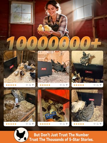 PETNF Chicken Coop Heater & Chick Heat Plate - 11.8x15.8in for Hen Warmth & 10-20 Chicks, 3-Way Adjustable Stand, 95-167°F 140W Efficient Heating, Durable Safe for Brooders/Coops, Farmers & Pet Owners