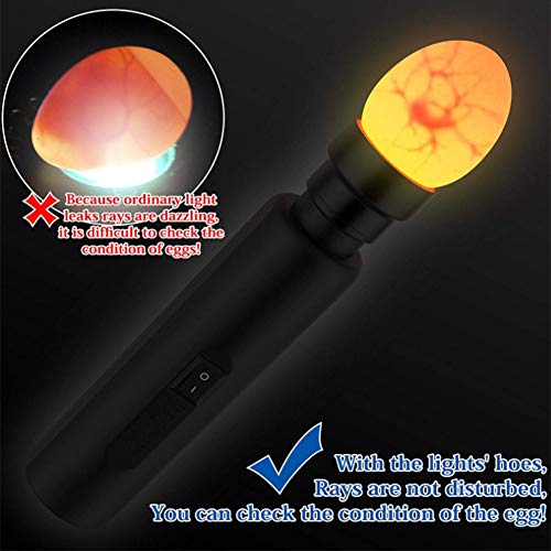 Egg Tester Light Kit, Plastic Chicken Egg Monitoring Tester LED Incubator Light Candling Lamp Inspection for Monitoring Eggs Development, US Plug 100-240V