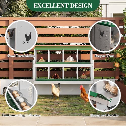 Chicken Nesting Box,8 Compartments Galvanized Steel Metal Chicken Laying Box with Roll Out Egg Collection,Wall Mount Chicken Nesting Boxes,Easy Egg Collection, Hen Roosting Boxes - color: Green, size: 8 Holes with Legs