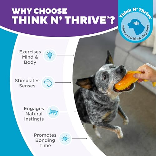 Outward Hound Gummiez Peach Ring 2-in-1 Dental Dog Chew Toy and Treat Stuffer Game, Peach Scent - color: Gummiez Peach Ring