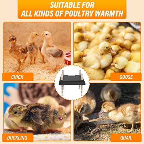 Longhzuo Chicken Brooder Plate for Chicks, Temperature Range 90°F-104°F, Adjustable Heights Chicken Heater, Heat Plate for 15 Chicks (10" X10")