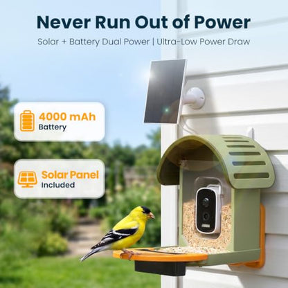 Smart Bird Feeder with Camera, Green | 2.5K UHD, AI Identifies 11,000+ Bird Species, Real-time Videos & Pictures, Solar Powered, Wireless for Outdoor, Gift - color: Green