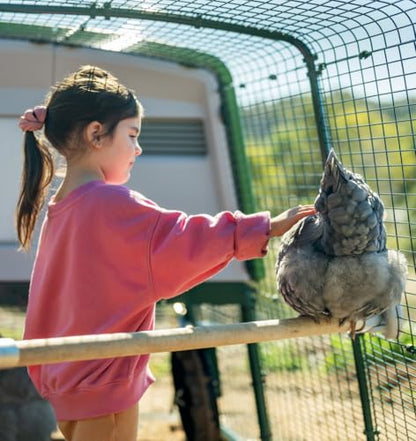 Omlet Chicken Perch | Enhance Your Outdoor Chickens Run with a Fun Accessory | Naturally Weather Resistant Perch with an Innovative Bracket Design | Eucalyptus Wood | 6ft - size: 6ft