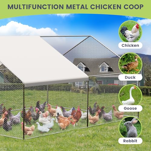 GarveeTech Large Walk-in Chicken Coop with Run, 9.8' x 13.1' Outdoor Chicken Runs for Yard with Cover, Metal Poultry Cage for Chickens, Ducks, Birds - size: 153.5"L x 118.1"W x 78.0"H