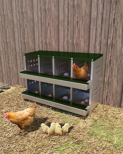 Galvanized Metal Chicken Nesting Box - 8 Compartments with Perch Rod, Egg Collection Tray & Fake Training Eggs - Rustproof Poultry Laying Box for Hens (Green, 8 Compartments) - color: Green, size: 8 Compartments
