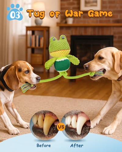 Swooflia Durable Squeaky Dog Toy - Interactive Plush Cute Frog with Rope Legs, Teeth Cleaning Tug Toy for Small Medium and Large Dogs, Puppy Chew Toy for Training and Play - color: Green