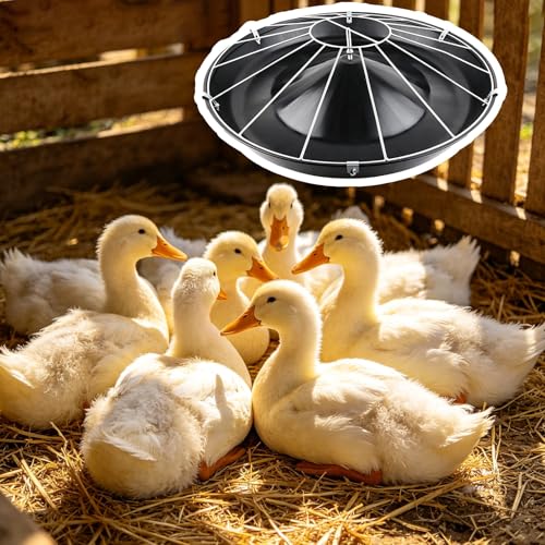 Round Livestock Feed Trough for Duck, Chicken, No Waste Outdoor/Indoor Piglet Feeder, Pasture Poultry Water Bowl Container, Easy to Install(Single Rack,80cm/31.5"(16 Slots)) - color: Single Rack, size: 80cm/31.5"(16 Slots)