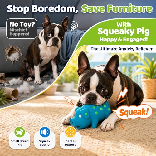 POPLAY Squeaky Latex Grunting Pig Dog Toy, 4 Inch Small Blue Prank Gifts Puppy Chew Toys Rubber Squeeze Gift for Dogs