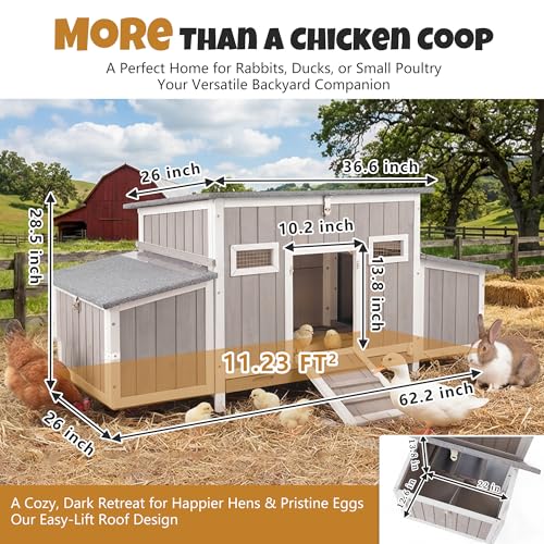 Wooden Chicken Coop, Outdoor Poultry House with Weatherproof Asphalt Roofs, Removable Tray & 2 Nesting Boxes, Ramp Door, Ventilation Windows, Chicken House for 2-4 Chickens Backyard Garden