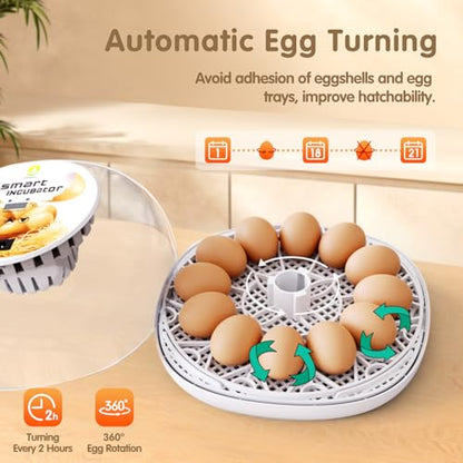 Incubators for Hatching Eggs Quail Egg Incubator 12 Eggs with Automatic Egg Turning and Humidity Control 360° Viewing for Chicken, Ducks, Goose, Pigeon for Lab Farm and Home