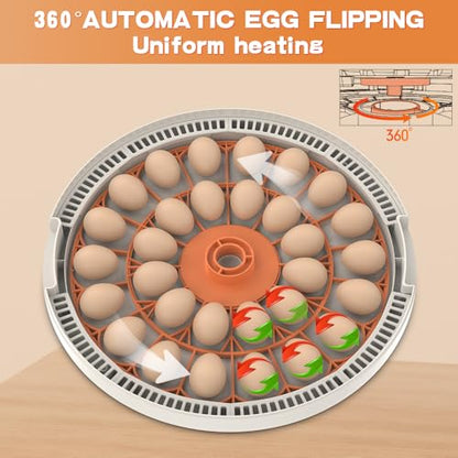 30 Egg Incubator with Automatic Temperature Control, 360° Auto Egg Turning, Humidity Display, LED Candler