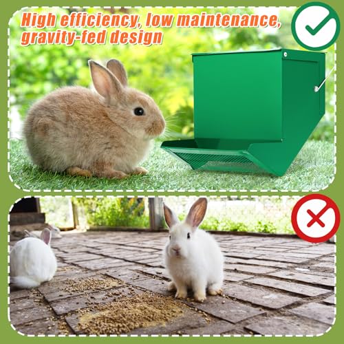 Maxcheck 2 Pcs Rabbit Feeder for Cages Small Animal Food Pellet Dispenser with Lid Metal Chicken Grit Oyster Shell Squirrel Feeders Outside(7.7 Inches,Mesh Bottom,Green) - color: Green, size: 7.7 Inches