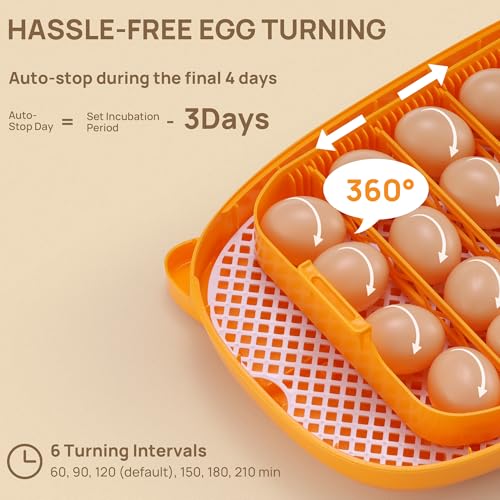 TURBRO Incubator for Hatching Eggs, Automatic Turning, Temperature & Humidity Control, Built-in Candler, 360° Viewing, 24 Egg Incubators for Chicken, Duck, Quail, Turkey, Goose, Parrot, Bird