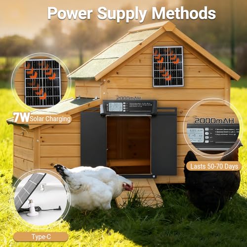 Automatic Chicken Coop Door Solar Powered | Chicken Coop Accessories Auto Chicken Door with LCD Display, 4 Working Modes, 7W High-Power Solar Panel & IP65 Waterproof