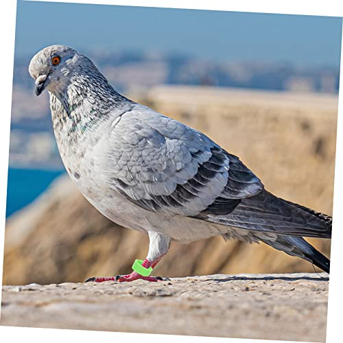 Happyyami 300pcs Leg Bands for Easy Identification for Parrots Pigeons Chickens and Other Poultry Plastic Marking Clips Green White Yellow