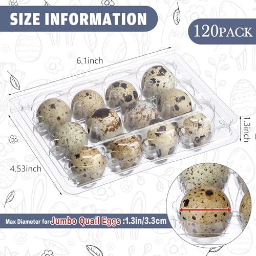 Remerry 120 Pcs Giant Quail Egg Cartons 12 Grids Clear Plastic Stackable Trays for Jumbo Quail Eggs, Pigeon Eggs, Small Poultry, Great for Home Fridge Storage, Farm, Market, Gift Box Packing