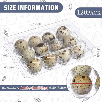 Remerry 120 Pcs Giant Quail Egg Cartons 12 Grids Clear Plastic Stackable Trays for Jumbo Quail Eggs, Pigeon Eggs, Small Poultry, Great for Home Fridge Storage, Farm, Market, Gift Box Packing