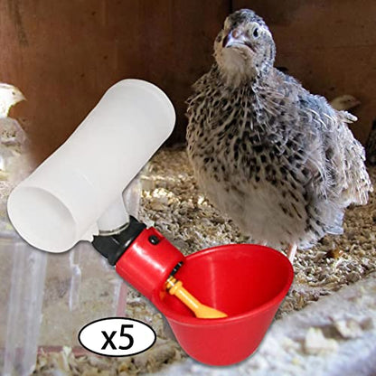5 Pieces Watering Cups Automatic Chicken Drinking Bowls Feeder Removable Water Bowl Suitable for Breeding Farms Home Use, 10x7.3cm