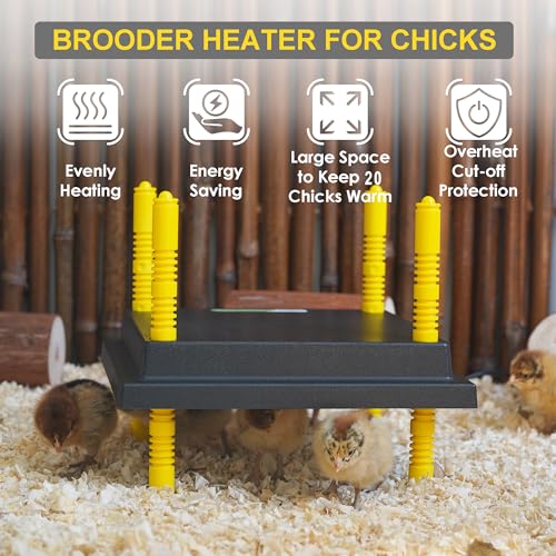 Eggluuz Chick Brooder Heating Plate, 12" x 12" Brooder Heater for Chicks with Adjustable Heights