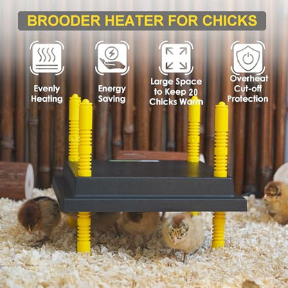 Eggluuz Chick Brooder Heating Plate, 12" x 12" Brooder Heater for Chicks with Adjustable Heights