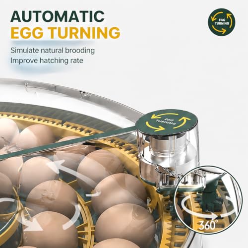 52 Egg Incubator with Automatic Egg Turning and Humidity Display, Incubators for Hatching Eggs, Chicken, Ducks, Goose, Pigeon, Quail, Parrot Incubator for Farm, Lab - size: 52-EGGS