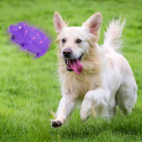 Squeaky Pig Dog Toys, Interactive Durable Latex Rubber that Oink Pig Chew Toy for Medium Large Dogs 2 Pack (Blue+ Purple)