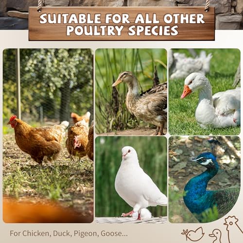 YUMEKA Chicken Roosting Ladder,Chicken Perch for Coop,Chick Roosting Bars, Cock Coop Toys, Suitable for Chicken Run and Chicken Perch, Backyard Poultry, Farm Roost Toys for Hen 55.1' L x 40.1' W - size: 55in x 40in