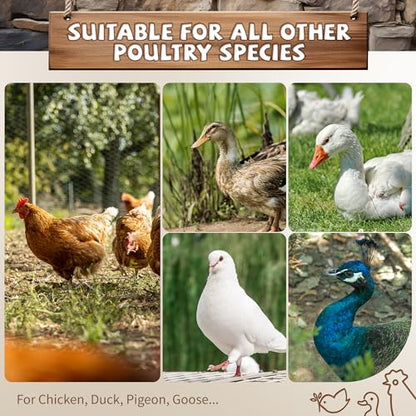 Large Chicken Roosting Bars with Swing (74.4"), Sturdy Metal Chicken Perch for Coop, Heavy Duty Jungle Gym Ladder for Hens, Entertainment Accessories & Toys for Backyard Poultry, Easy to Clean - size: 74.4in x 40.6in
