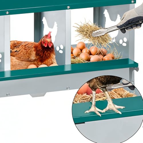 Garvee Large Metal Chicken Nesting Boxes for Hens, 10 Compartment Galvanized Steel Nesting Box, Includes 4 Fake Eggs & 10 Soft Nest Pads, Wall Mount or Freestanding for Coop & Farm - style: 10 Holes