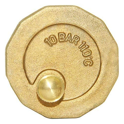Beduan Brass 10500-VE Automatic Float Valve, 1/4" Male Thread Air Release Valve Air Bleeder Valve Vent Valve - size: 1/4" Male