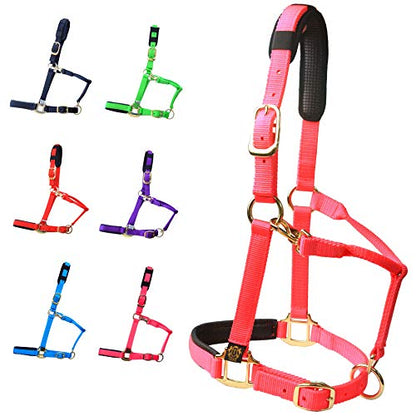 T TEKE Adjustable Horse Halters by Heavy Duty Soft Nylon, Padded with Anti-rubbing Waffle Neoprene on Both Crown & Nose - color: Pink, size: Cob (M)
