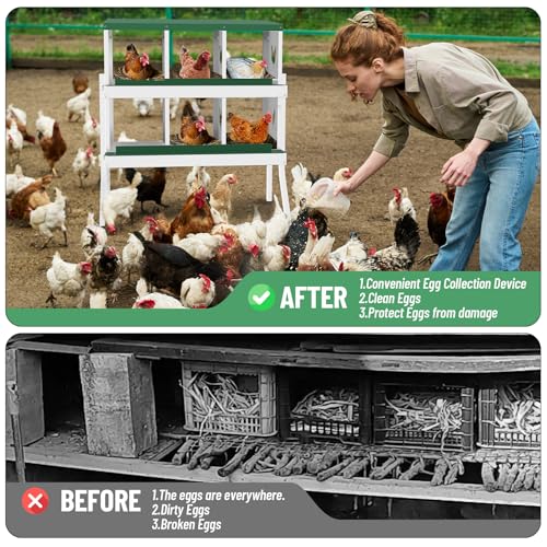 IDEALHOUSE Chicken Nesting Box, Galvanized Steel Laying Box with Rustproof & Roll-Away Egg Design, for Hens, Green 6 Compartment with Bracket - color: Green, size: 6 compartments (with bracket)