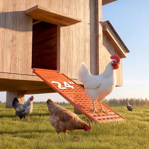 Lilyang Heavy Duty Chicken Coop Ladder Ramp, Weather-Resistant Non-Slip Design, Detachable for Easy Cleaning, for Coop Door, Nest Box, Duck Pool - Replace Wooden Ramps (Orange, 24.0″L*10.2″W) - color: Orange, size: 24.0″L*10.2″W