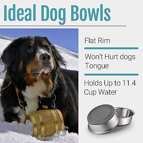 PEGGY11 Nonslip Stainless Steel Dog Bowls, 11.4 US Cup, 2 Count | No slide silicone bottom, Dishwasher safe, Easy to clean, Stackable design - size: 11.4 Cup