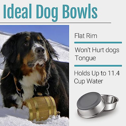 PEGGY11 Nonslip Stainless Steel Dog Bowls, 11.4 US Cup, 2 Count | No slide silicone bottom, Dishwasher safe, Easy to clean, Stackable design - size: 11.4 Cup