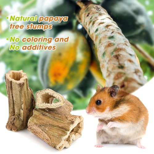 Abizoo Natural Bunny Chew Toys,6 Pcs Organic Papaya Wood Sticks Chew Toys for Rabbit,Hamster,Guinea Pig,Chinchilla,Gerbil,Rat Healthy Chews Teeth Grinding Treats, Squirrel Molar Snack - size: S