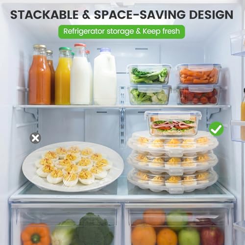 HANSGO Deviled Egg Containers with Lid, Portable Deviled Egg Platter Carrier Holder Trays with 22 Slots for Holiday Party and Home Kitchen, Clear - color: Transparent