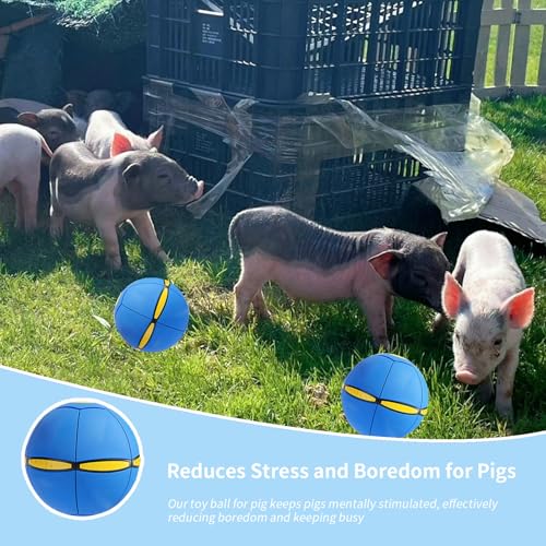 Pig Toy - Toy for Pigs, Interactive Pig Flying Saucer Disc Ball Toys with 6 Lights for Mini Pigs, Enrichment Play for Pet Pigs Supplies Enjoyment and Fun - color: Blue
