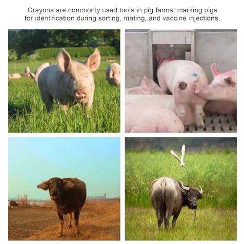 10pcs Livestock Marker Crayon, Pig Marking Crayon Set, Long Lasting Animal Marker Crayon with Lipstick Style Rotation for Pigs Sheep Cattle, Safe Water Soluble Wax (Green) - color: Green