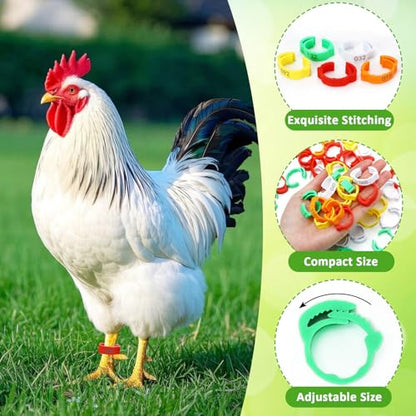 PETKNOWS 150 PCS Plastic Chicken Leg Bands,Adjustable Poultry Leg Rings Color-Coded Leg Bands for Chickens for Hens Ducks Quails Small Bird Pigeons Goose Turkey Flock Management