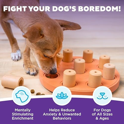 Outward Hound by Nina Ottosson Dog Smart Treat Puzzle Enrichment Toy, Level 1 Beginner, Orange, Composite - color: Dog Smart Composite (Orange)