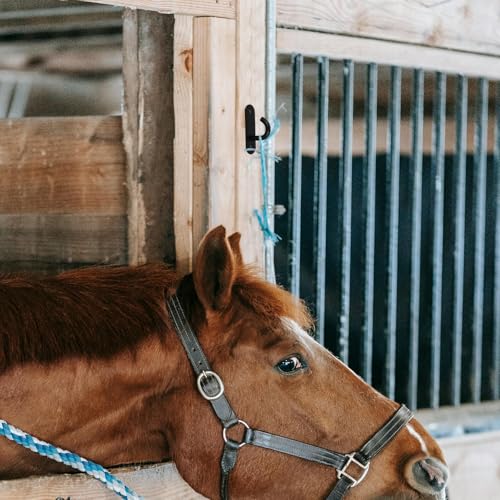 4pcs Compact Dark Stable Feeding Bucket Hangers Wall-Mounted Livestock Bucket Hooks for Horse Stalls and Farm Barn Accessories