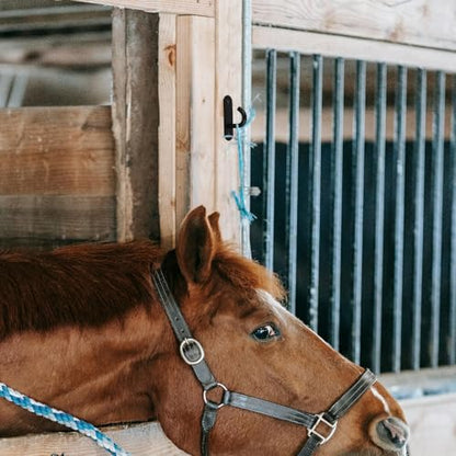 4pcs Compact Dark Stable Feeding Bucket Hangers Wall-Mounted Livestock Bucket Hooks for Horse Stalls and Farm Barn Accessories