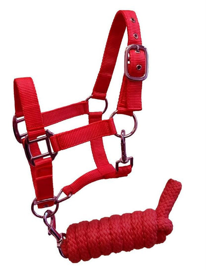 Pony Size Nylon Halter with Removalbe 7' Lead (Red) - color: Red