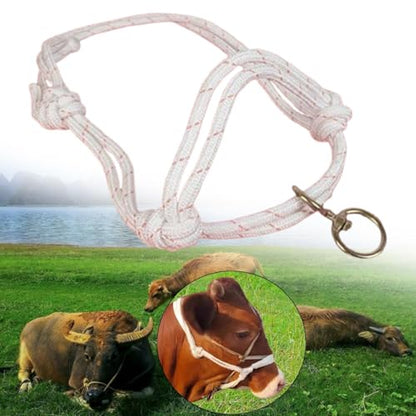 Cattle Traction Halter Bull Bridle Adjustable Cow Halter Livestock Equipment Lightweight Design with Nylon Structure for Farm Use Suitable - size: Small