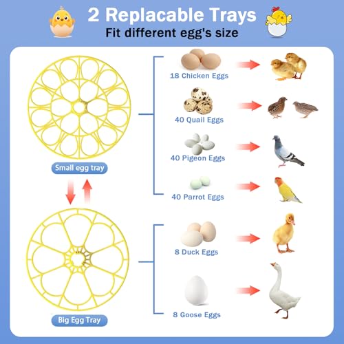 18-36 Eggs Incubators for Hatching Eggs with Automatic Egg Turning and Humidity Control, for Chicken, Duck, Quail, Goose, Parrot Eggs - 360° View for Farm, Classroom, Home Use